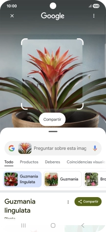 Sigue las indicaciones de la pantalla para utilizar los resultados de búsqueda.
