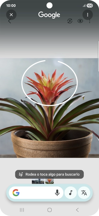 Rodea con un círculo el elemento deseado de la fotografía y espera a que aparezcan los resultados de búsqueda.