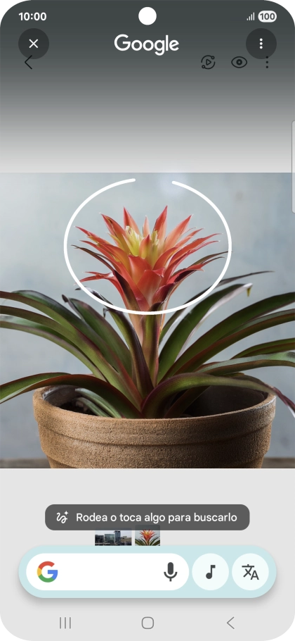 Rodea con un círculo el elemento deseado de la fotografía y espera a que aparezcan los resultados de búsqueda.