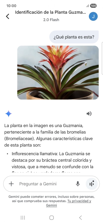 Sigue las indicaciones de la pantalla para escribir o decir en alto la pregunta deseada. Puedes adjuntar fotografías o documentos y hacer preguntas acerca de ellos.