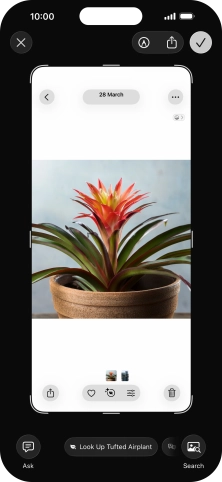 To use visual intelligence via screenshot, take a screenshot and follow the instructions on the screen to use the function.