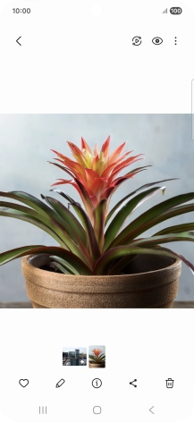 Desplázate a la fotografía deseada.