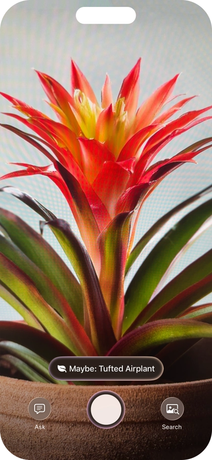 For information about animals and plants, press the information field.