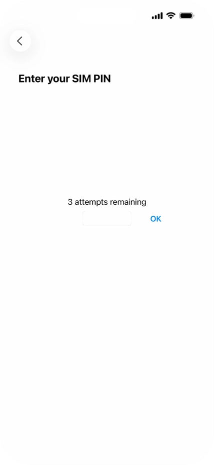 If your SIM is locked, key in your PIN and press OK.