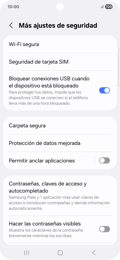 Pulsa Seguridad de tarjeta SIM.