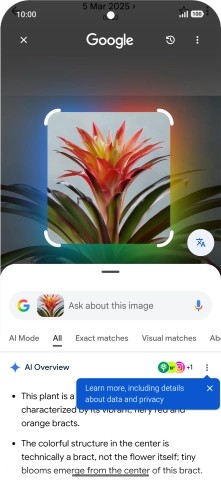 Follow the instructions on the screen to use the search results.