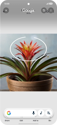 Draw a circle around the required object on the picture and wait for the search results.