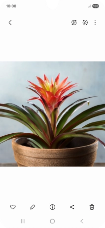 Go to the required picture.