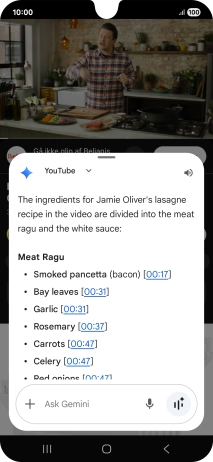 The answer from Gemini to your question is displayed.