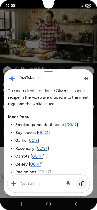 The answer from Gemini to your question is displayed.