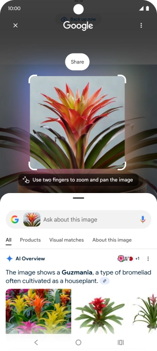 Press and hold the Home key.