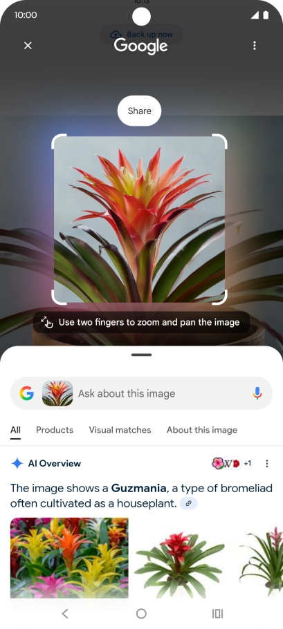 Press and hold the Home key.
