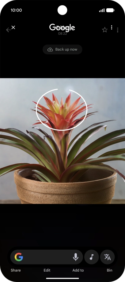 Draw a circle around the required object on the picture and wait for the search results. Draw a circle around the required object on the picture and wait for the search results.