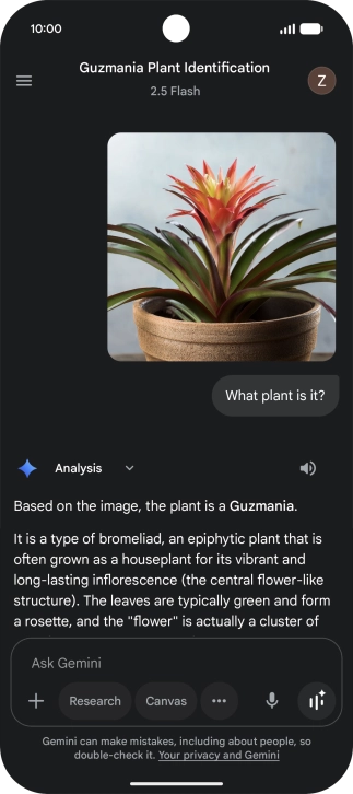 Follow the instructions on the screen to type or speak the required question. You can also attach pictures or documents and ask questions to them. Follow the instructions on the screen to type or speak the required question. You can also attach pictures or documents and ask questions to them.