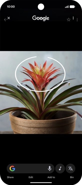 Draw a circle around the required object on the picture and wait for the search results. Draw a circle around the required object on the picture and wait for the search results.