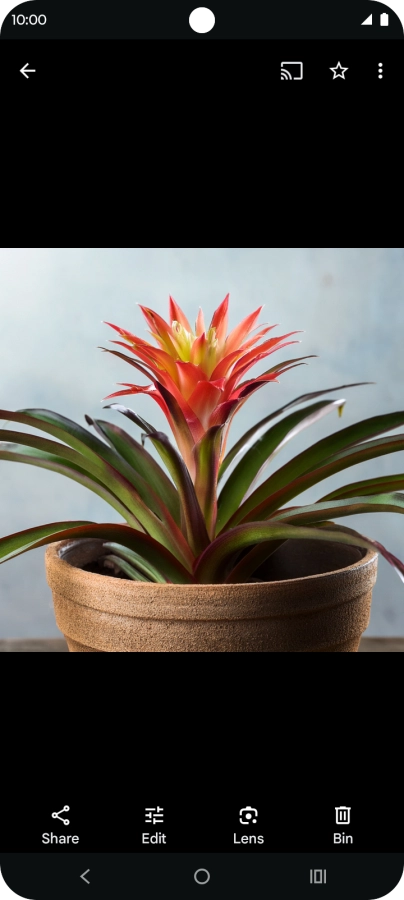 Go to the required picture.