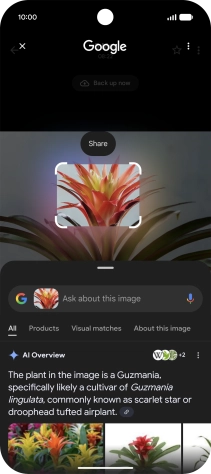 Follow the instructions on the screen to use the search results. Follow the instructions on the screen to use the search results.