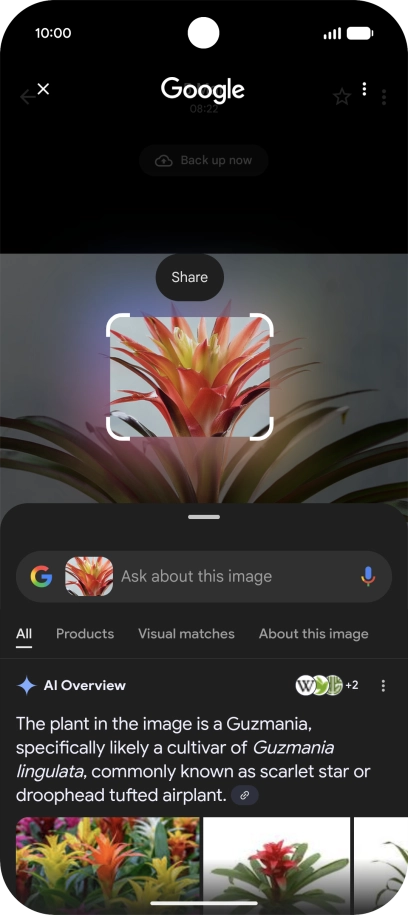 Follow the instructions on the screen to use the search results. Follow the instructions on the screen to use the search results.