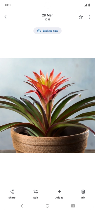 Go to the required picture.