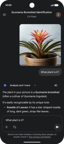 Follow the instructions on the screen to type or speak more questions to continue the conversation. Follow the instructions on the screen to type or speak more questions to continue the conversation.