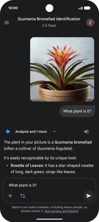 Follow the instructions on the screen to type or speak more questions to continue the conversation. Follow the instructions on the screen to type or speak more questions to continue the conversation.