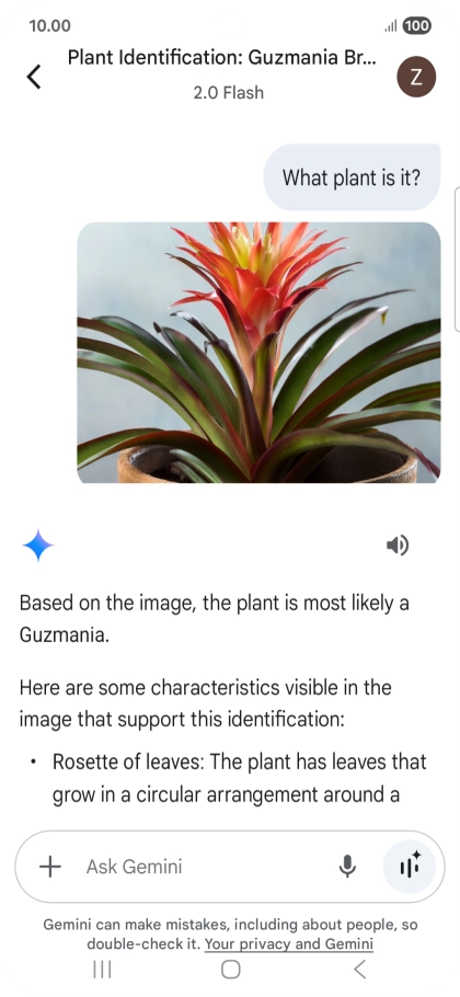 Follow the instructions on the screen to type or speak the required question. You can also attach pictures or documents and ask questions to them.