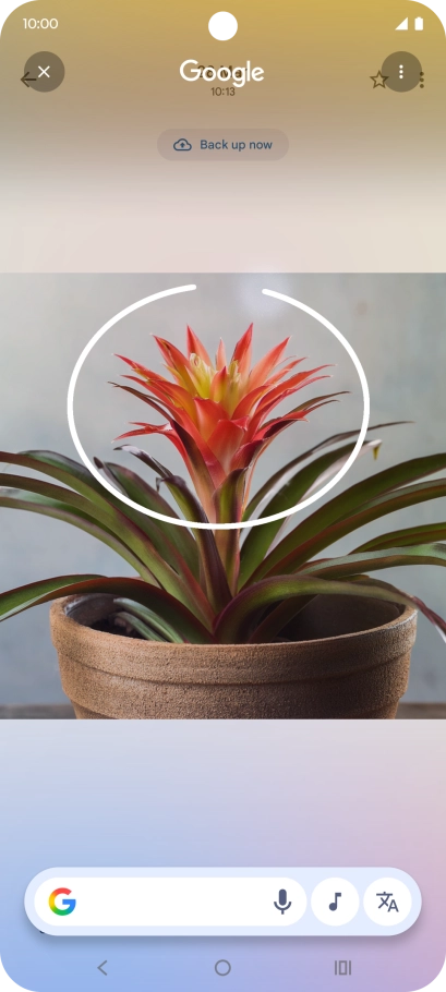 Draw a circle around the required object on the picture and wait for the search results.