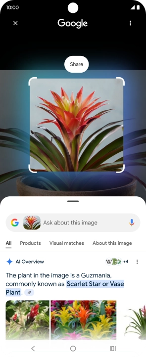 Follow the instructions on the screen to use the search results.