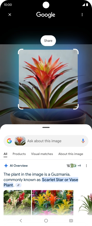 Follow the instructions on the screen to use the search results.