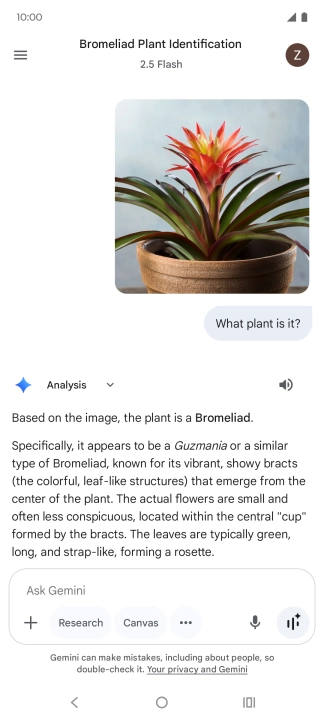 Follow the instructions on the screen to type or speak the required question. You can also attach pictures or documents and ask questions to them.