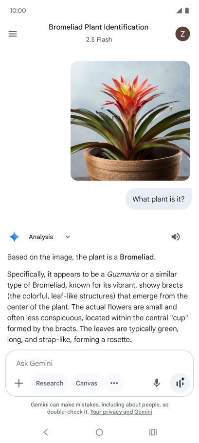 Follow the instructions on the screen to type or speak the required question. You can also attach pictures or documents and ask questions to them.