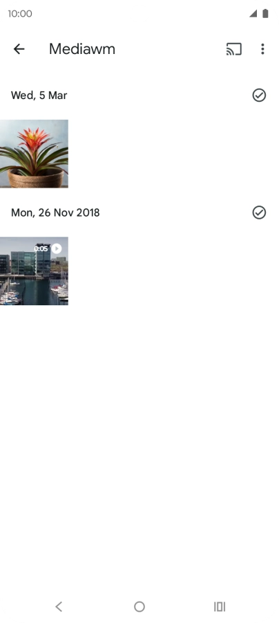 Press and hold any picture or video.