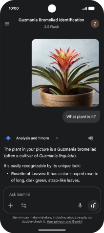 Follow the instructions on the screen to type or speak the required question. You can also attach pictures or documents and ask questions to them. Follow the instructions on the screen to type or speak the required question. You can also attach pictures or documents and ask questions to them.