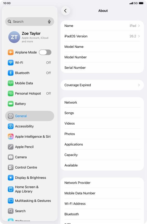 Your tablet's software version is displayed next to iPadOS Version.