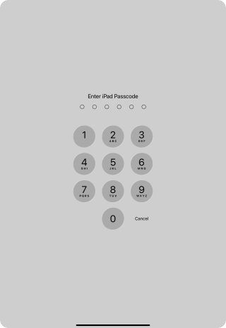 Use the lock code you created. The app is now locked.