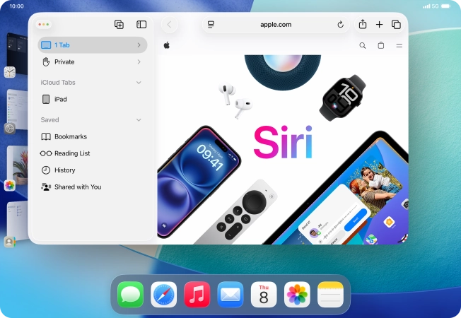 To adjust the size of the application window, press and drag the adjust size icon.
