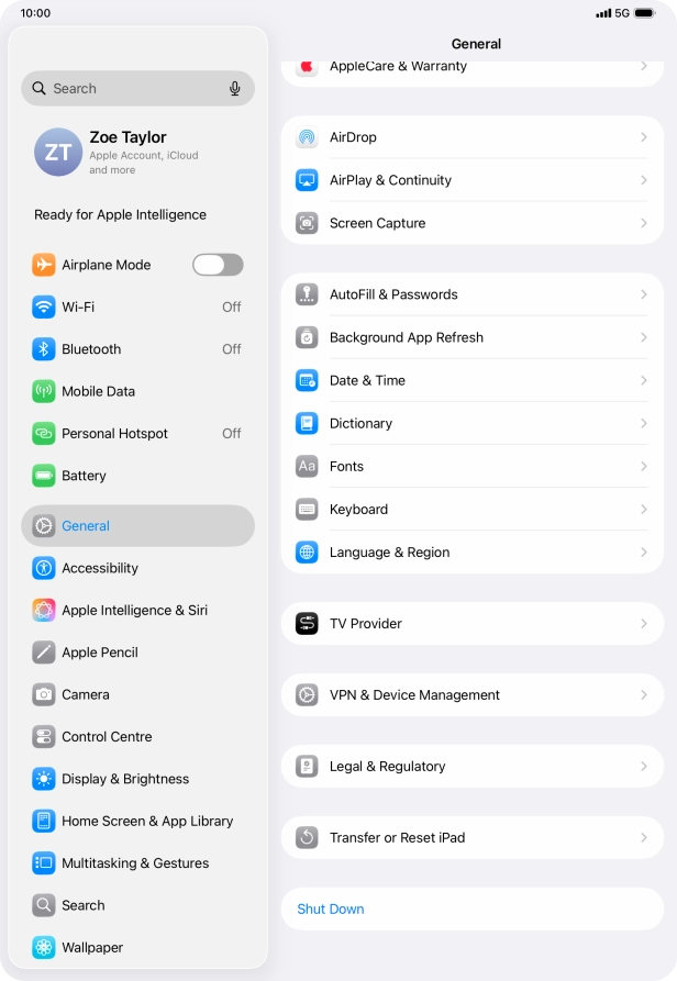 Press Transfer or Reset iPad.