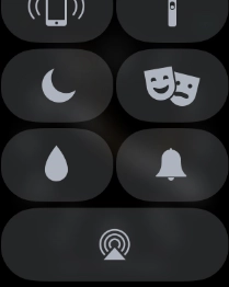 Press the Digital Crown to return to the home screen.