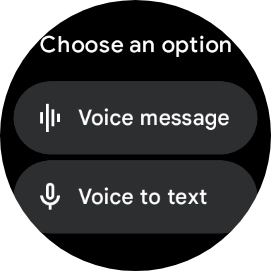 Press Voice to text. Press Voice to text.