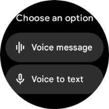 Press Voice to text. Press Voice to text.
