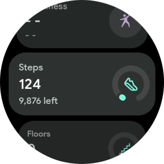 The number of steps for the day is displayed below Steps.