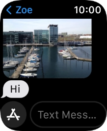 Press Text Mess... and record the message.