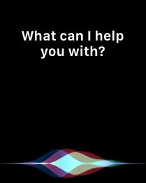 Say, in your own words, what you would like your Apple Watch to do.