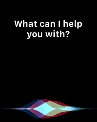 Say, in your own words, what you would like your Apple Watch to do.