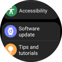 Press Software update.
