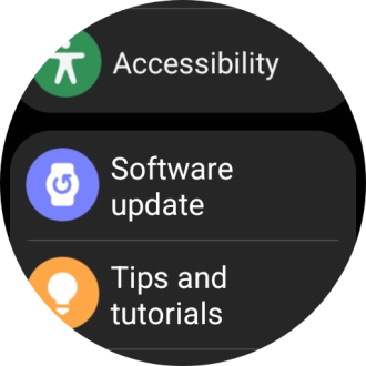 Press Software update.