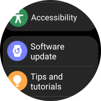 Press Software update.