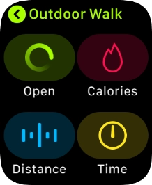 Press the Digital Crown several times to return to the main menu.