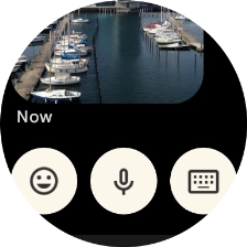 Press the microphone icon and follow the instructions on the screen to record and send the required reply.