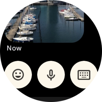 Press the microphone icon and follow the instructions on the screen to record and send the required reply.
